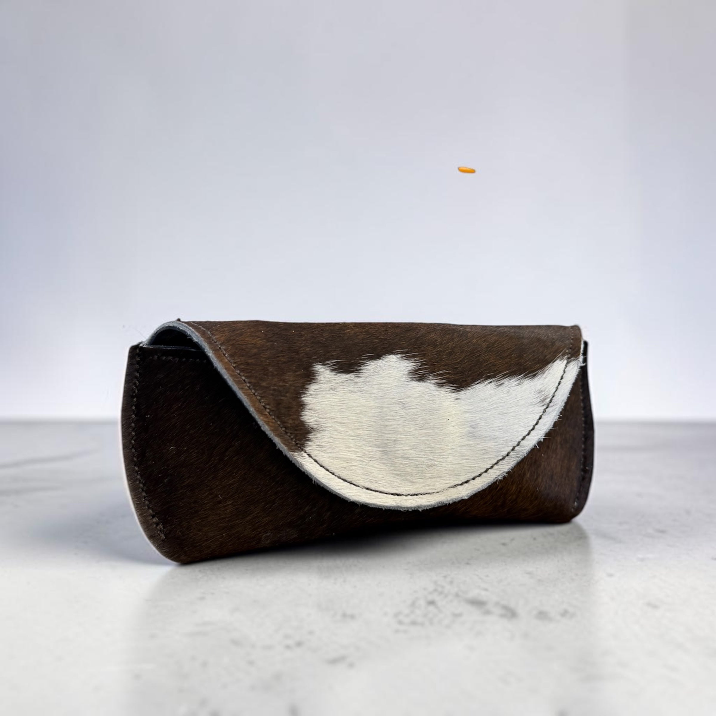Glasses Hard Case