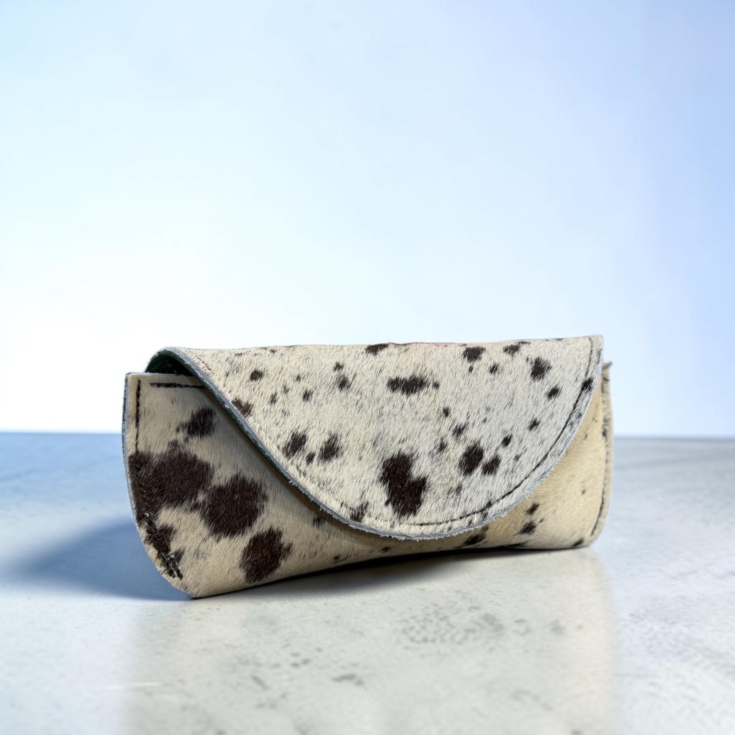 Glasses Hard Case