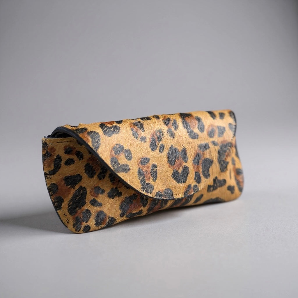 Glasses Hard Case